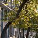Athens_DionisiouAeropagitouStr_Y-Skoulas_18-502