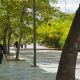 Athens_DionisiouAeropagitouStr_Y_Skoulas_19_8253